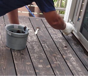 DSC_0485 - コピー (2500x2174) (2000x1739).jpg